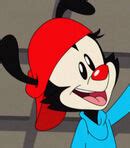 wakko|wakko voice actor.